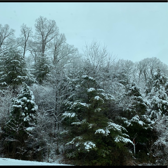 Meet your Posher, Jasmin - Picture 1 of 1